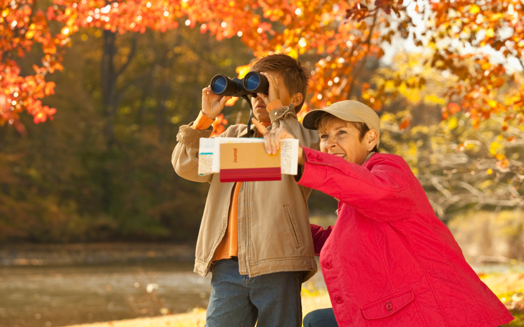 Beginner’s Bird Watching: Tips and Techniques for New Birders